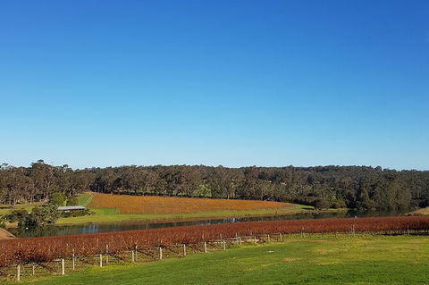 Highlights Of Margaret River: Boutique Wineries & Unique Experiences - Darwin Holiday 5