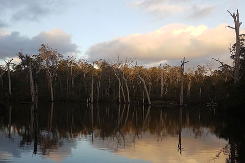 Private Tour Margaret River - Darwin Holiday 9