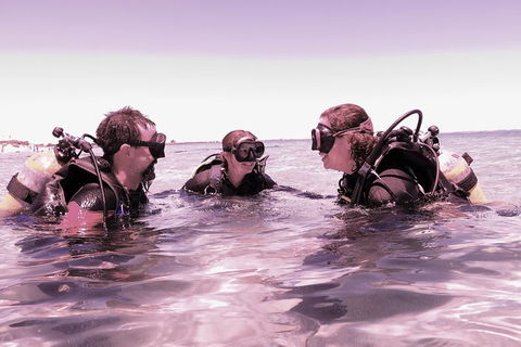 Scuba Dive The Beautiful Rottnest Island - Darwin Holiday 3