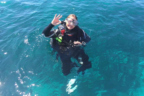 Scuba Dive The Beautiful Rottnest Island - Darwin Holiday 5