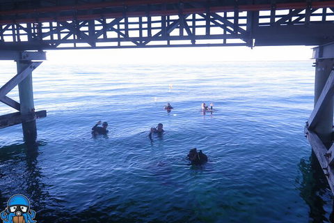 PADI Open Water Course - Darwin Holiday 3