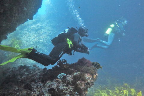 PADI Open Water Course - Darwin Holiday 2