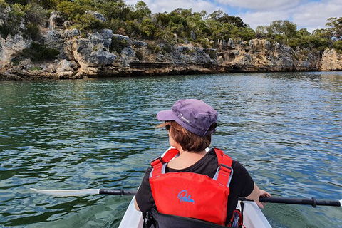 Cliffs And Caves Kayak Tour In Swan River - Darwin Holiday 1