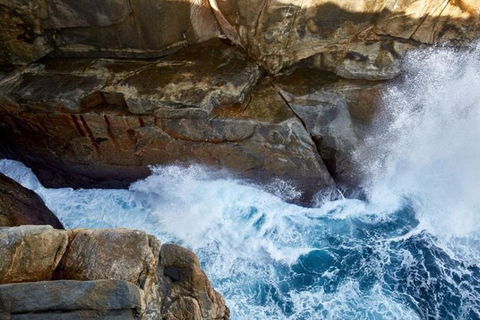 Discover Torndirrup National Park: The Gap & Natural Wonders Tour - Darwin Holiday 4