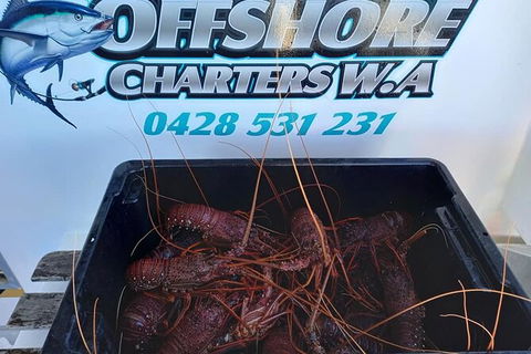 Lobster Fishing Tour At Geraldton - Darwin Holiday 0