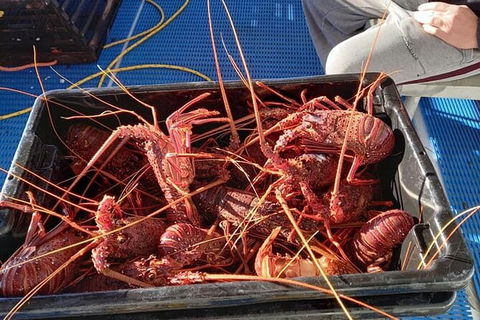 Lobster Fishing Tour At Geraldton - Darwin Holiday 6