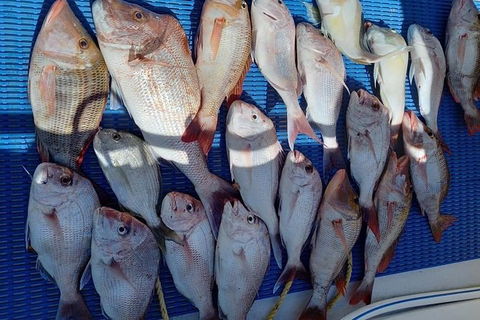 Geraldton Fishing Charter - Darwin Holiday 7
