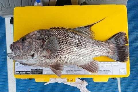Abrolhos Islands Fishing Charter - Darwin Holiday 2