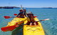 Penguin And Seal Islands Sea Kayaking Experience - thumb 3