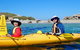 Penguin And Seal Islands Sea Kayaking Experience - thumb 5