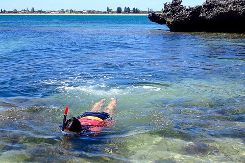 Penguin And Seal Islands Sea Kayaking Experience - Darwin Holiday 6