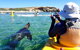 Penguin And Seal Islands Sea Kayaking Experience - thumb 1