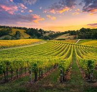 Swan Valley Sunset Wine Tour - Premium Small Group Tour - Darwin Holiday