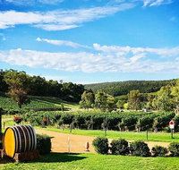 Bickley Valley Wine  Cider Tour - Premium Small Group Tour - Darwin Holiday