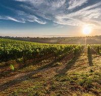 Perth to Margaret River Wine Tour - 2 Day Premium Boutique Wine Tour Experience - Darwin Holiday
