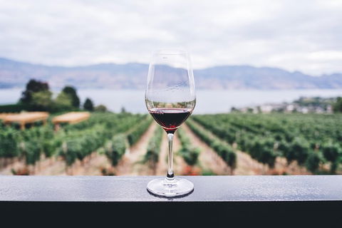 Full-Day Gourmet Wine Tour With Pick Up And Lunch - Darwin Holiday 1