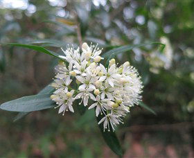 Booderee National Park - Darwin Holiday 0