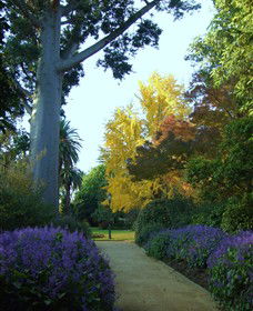 Albury NSW Darwin Holiday