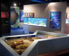 Marine And Freshwater Discovery Centre - Darwin Holiday 0