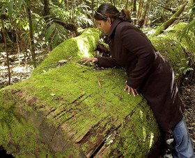 Red Range NSW Darwin Holiday