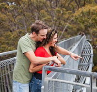Valley of the Giants Tree Top Walk - Darwin Holiday