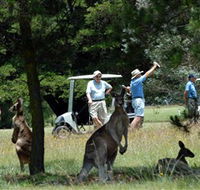 Glen Innes Golf Club - Darwin Holiday