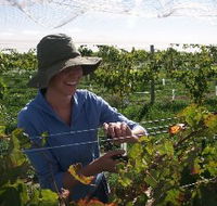 Kingsdale Wines - Darwin Holiday