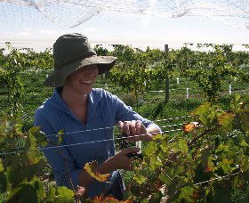 Kingsdale Wines - Darwin Holiday 0