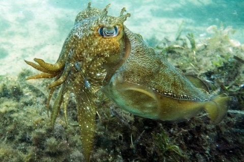 Busselton Jetty & Underwater Observatory Tour - Darwin Holiday 4