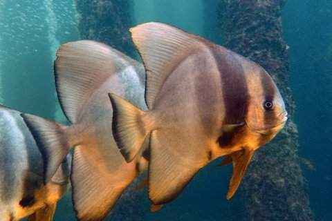 Busselton Jetty & Underwater Observatory Tour - Darwin Holiday 5