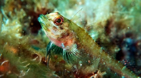 Busselton Jetty & Underwater Observatory Tour - Darwin Holiday 7