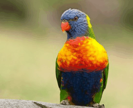 Booderee National Park - Darwin Holiday 1