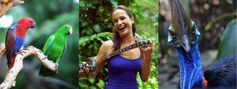 Wildlife Habitat - Darwin Holiday 1