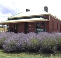 Lavender House in Railway Park - Darwin Holiday