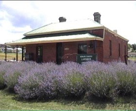 Lavender House In Railway Park - Darwin Holiday 0