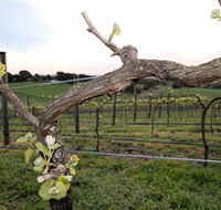 Nalbra Estate Wines - Darwin Holiday