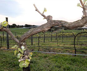 Nalbra Estate Wines - Darwin Holiday 0