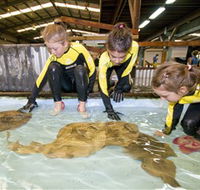 Australian Shark and Ray Centre - Darwin Holiday