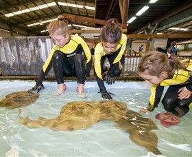Australian Shark And Ray Centre - Darwin Holiday 0