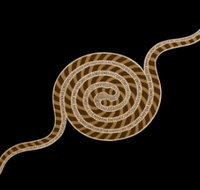 Original  Authentic Aboriginal Art - Darwin Holiday