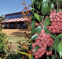 Bushfood Factory and Cafe - Darwin Holiday