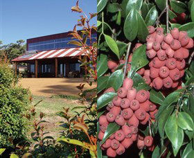 Bushfood Factory And Cafe - Darwin Holiday 0
