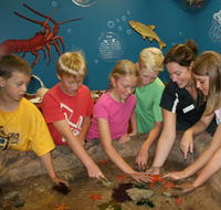 Naturaliste Marine Discovery Centre - Darwin Holiday