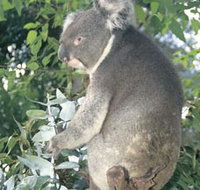 Whiteman Park - Darwin Holiday