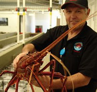 Lobster Shack - Darwin Holiday