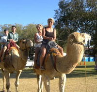Calamunnda Camel Farm - Darwin Holiday