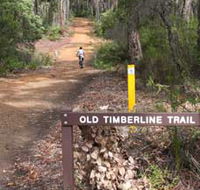 Old Timberline and Sidings Rail Trails - Darwin Holiday