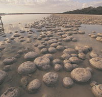 Lake Clifton Thrombolites - Darwin Holiday