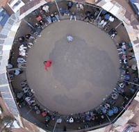 Two-Up School - Darwin Holiday