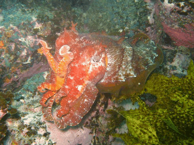 Hyams Beach NSW Darwin Holiday